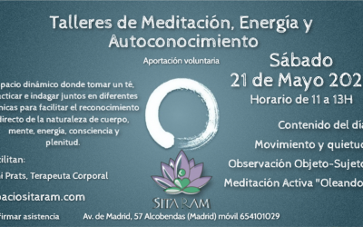 Taller 21/06/2022 Del Movimiento a la Quietud, Autoobservación y Meditación «Oleando»